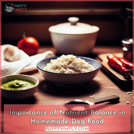 Importance of Nutrient Balance in Homemade Dog Food