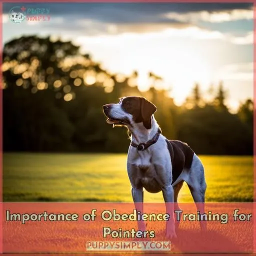 Importance of Obedience Training for Pointers