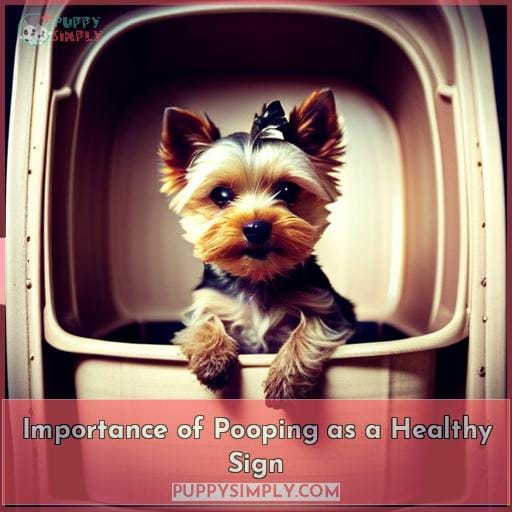 Importance of Pooping as a Healthy Sign