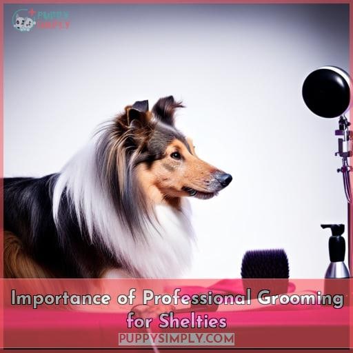Importance of Professional Grooming for Shelties