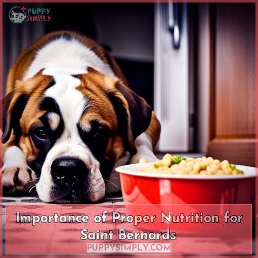 Importance of Proper Nutrition for Saint Bernards