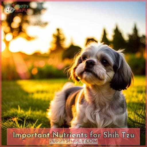 Important Nutrients for Shih Tzu