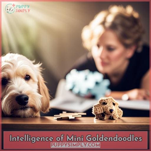 Intelligence of Mini Goldendoodles