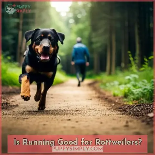 Is Running Good for Rottweilers