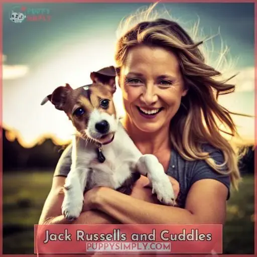 Jack Russells and Cuddles