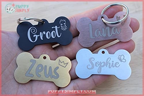 Jinglrr Personalized Stainless Steel Dog