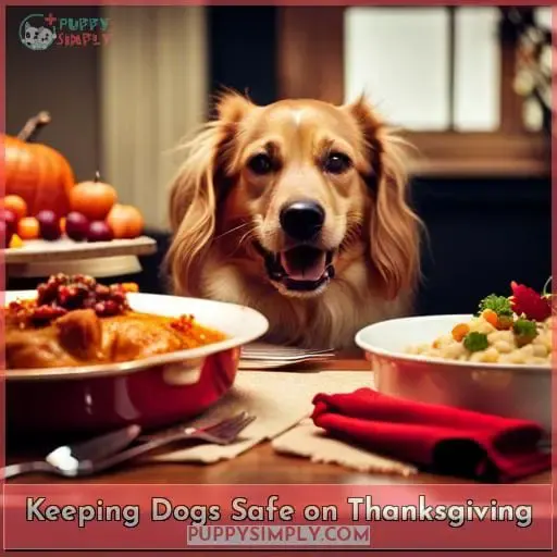 Keeping Dogs Safe on Thanksgiving