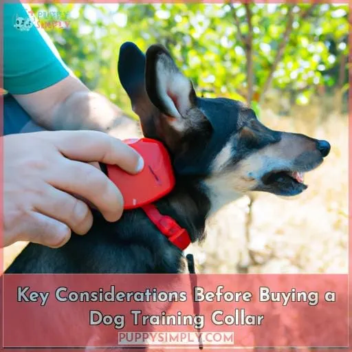 Key Considerations Before Buying a Dog Training Collar