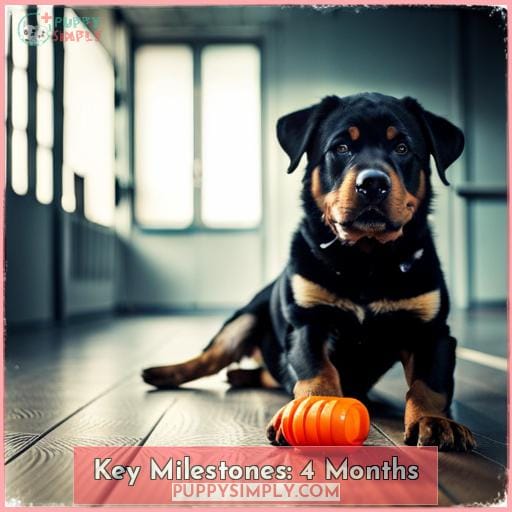 Key Milestones: 4 Months