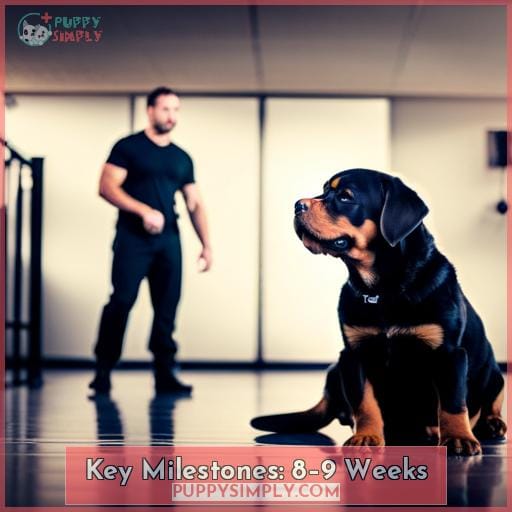 Key Milestones: 8–9 Weeks