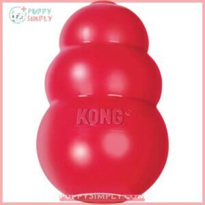 KONG Classic Dog Toy 38485