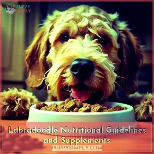 Labradoodle Nutritional Guidelines and Supplements