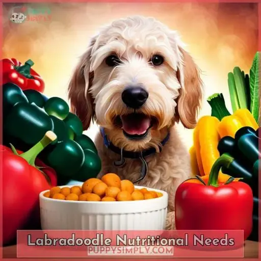 Labradoodle Nutritional Needs