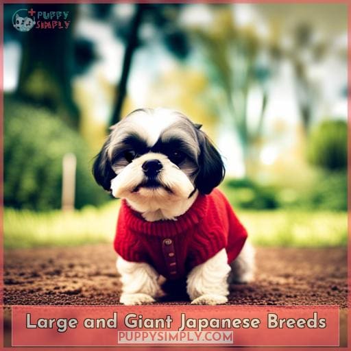 Large and Giant Japanese Breeds