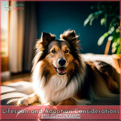 Lifespan and Adoption Considerations
