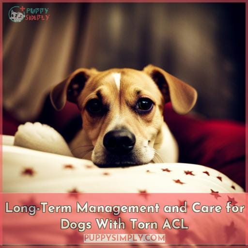 Long-Term Management and Care for Dogs With Torn ACL