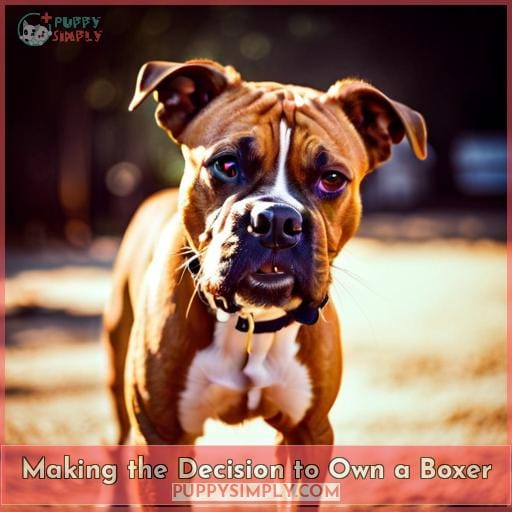Making the Decision to Own a Boxer