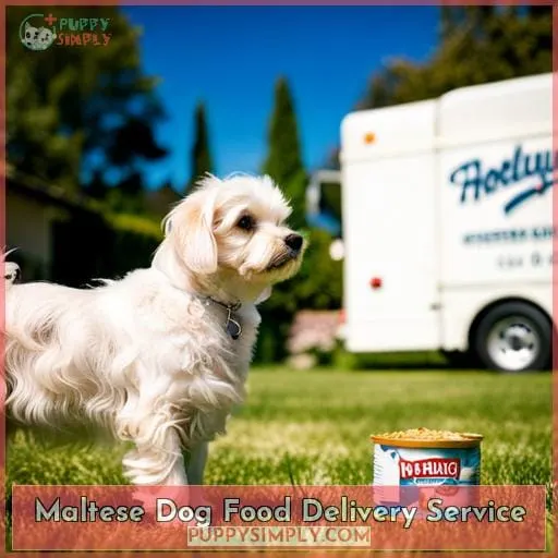 Maltese Dog Food Delivery Service