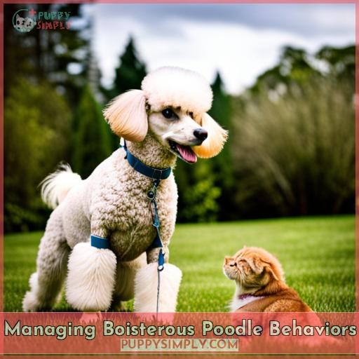 Managing Boisterous Poodle Behaviors