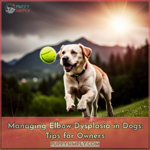 Managing Elbow Dysplasia in Dogs: Tips for Owners