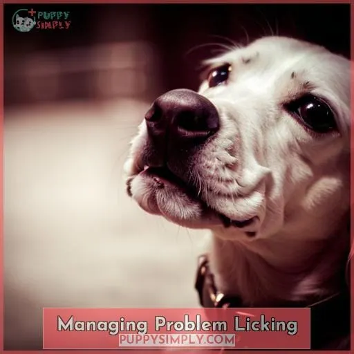 Managing Problem Licking