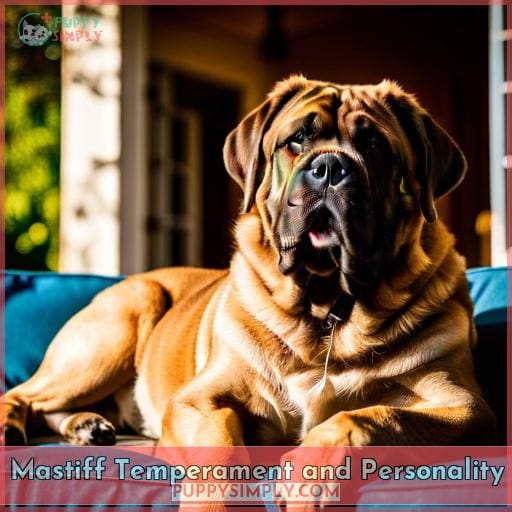 Mastiff Temperament and Personality