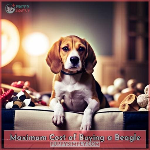 Maximum Cost of Buying a Beagle