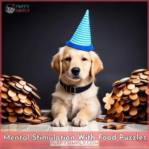 Mental Stimulation With Food Puzzles