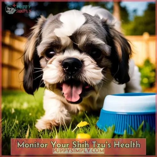 Monitor Your Shih Tzu