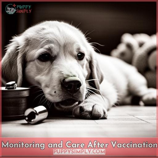 Monitoring and Care After Vaccination