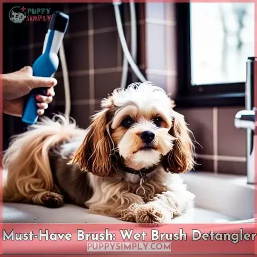 Must-Have Brush: Wet Brush Detangler