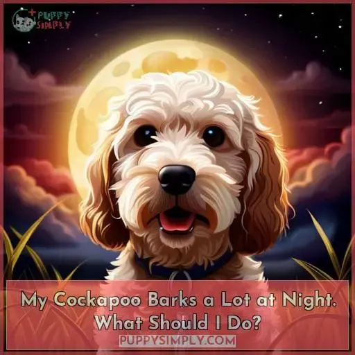 My Cockapoo Barks a Lot at Night. What Should I Do