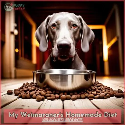 My Weimaraner