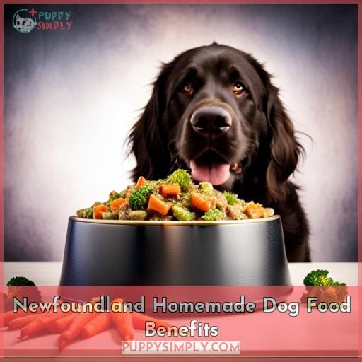 Newfoundland Homemade Dog Food Benefits