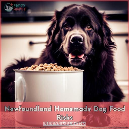 Newfoundland Homemade Dog Food Risks