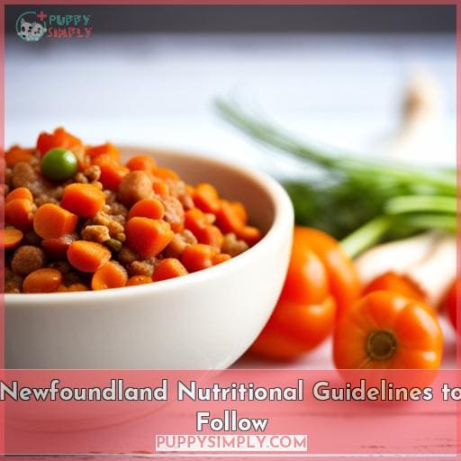 Newfoundland Nutritional Guidelines to Follow
