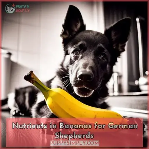 Nutrients in Bananas for German Shepherds