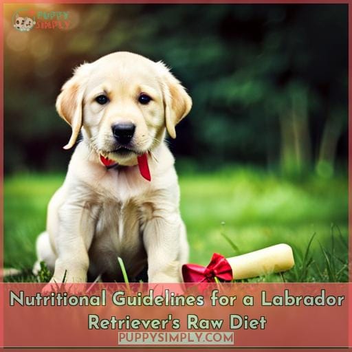 Nutritional Guidelines for a Labrador Retriever