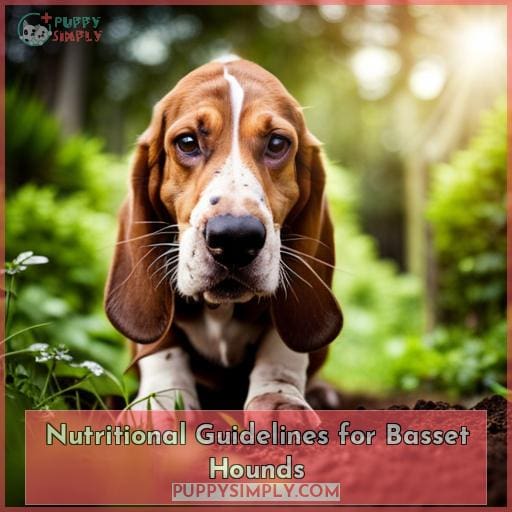 Nutritional Guidelines for Basset Hounds