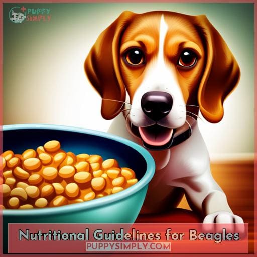 Beagle Homemade Dog Food: Nutrition, Recipes & Tips