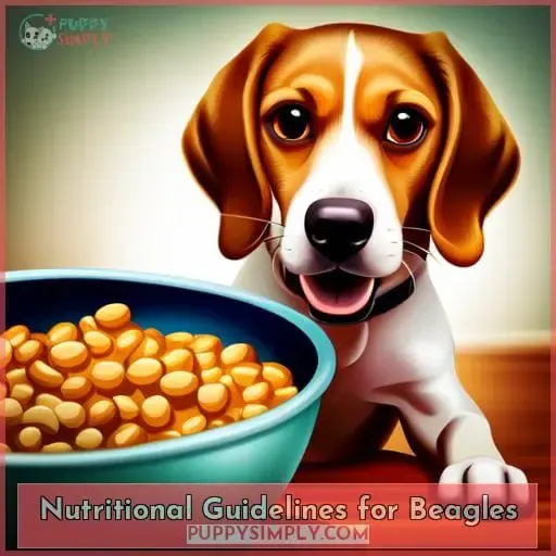 Nutritional Guidelines for Beagles