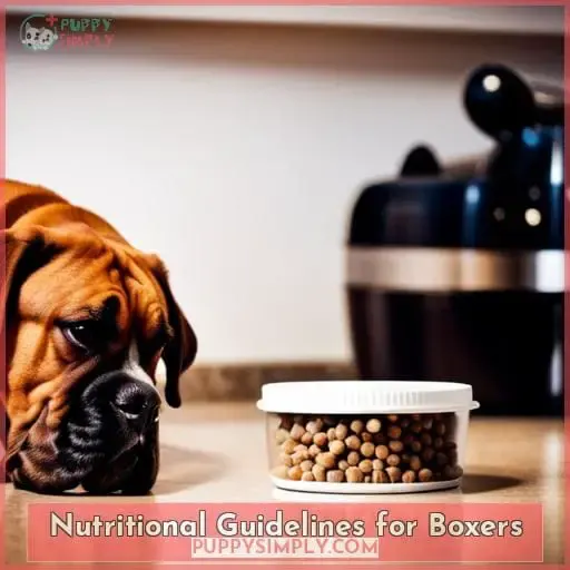 Nutritional Guidelines for Boxers