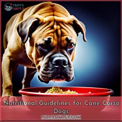 Nutritional Guidelines for Cane Corso Dogs