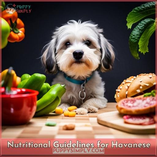 Nutritional Guidelines for Havanese