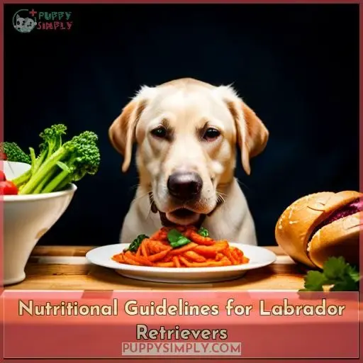 Nutritional Guidelines for Labrador Retrievers