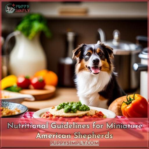 Nutritional Guidelines for Miniature American Shepherds