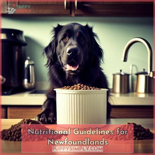 Nutritional Guidelines for Newfoundlands