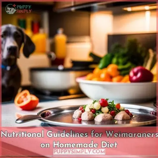 Nutritional Guidelines for Weimaraners on Homemade Diet