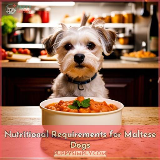 Nutritional Requirements for Maltese Dogs
