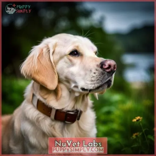 NuVet Labs